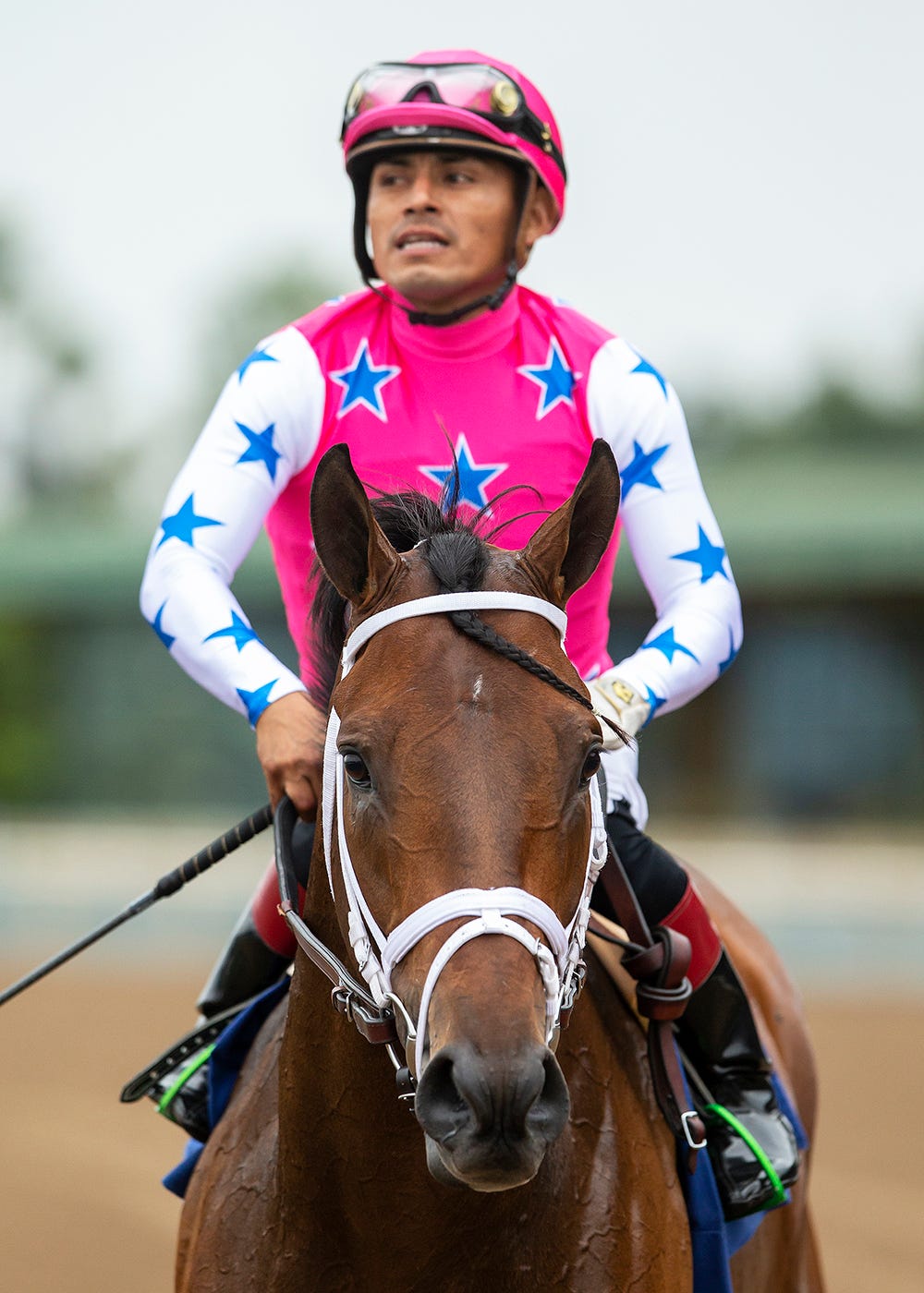 Cedillo to miss rest of Del Mar meet